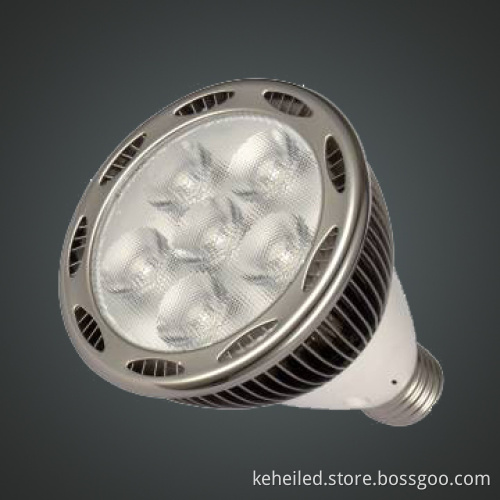 PAR30 Spot Light with E27 Base, High Power LED Imported from USA